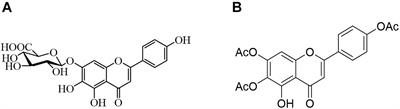 Antifungal Activity and Potential Mechanism of 6,7, 4′-O-Triacetylscutellarein Combined With Fluconazole Against Drug-Resistant C. albicans